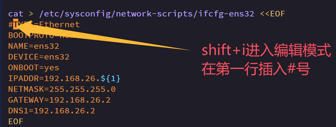vim编辑器常用操作