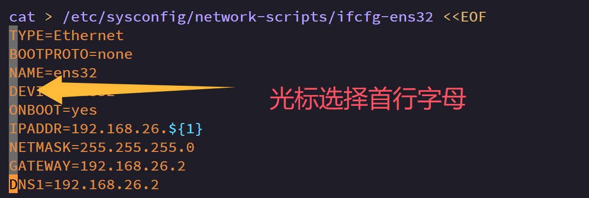 vim编辑器常用操作